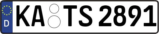 KA-TS2891