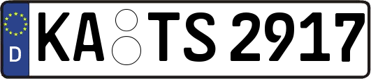KA-TS2917