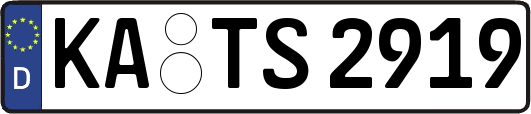 KA-TS2919