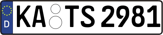KA-TS2981