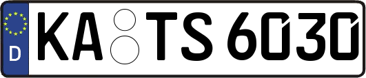 KA-TS6030