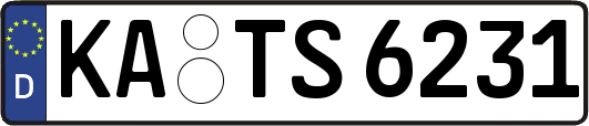 KA-TS6231