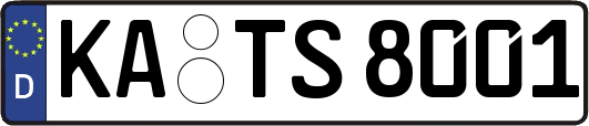 KA-TS8001