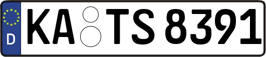 KA-TS8391