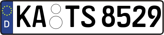 KA-TS8529