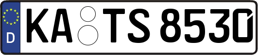 KA-TS8530