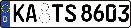 KA-TS8603