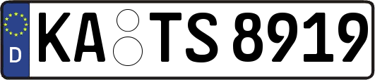 KA-TS8919