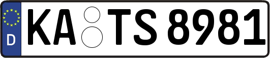 KA-TS8981