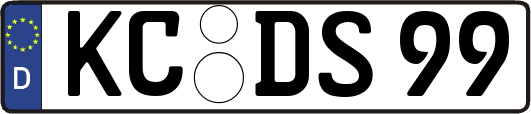 KC-DS99