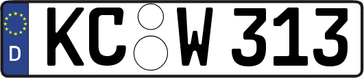 KC-W313