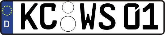 KC-WS01