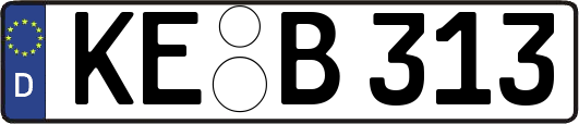 KE-B313