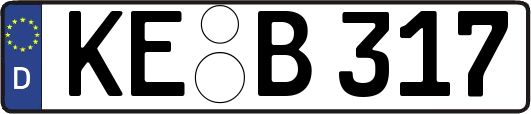 KE-B317