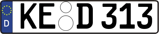 KE-D313