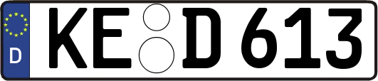 KE-D613