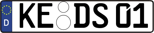 KE-DS01