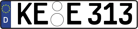 KE-E313