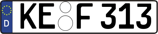 KE-F313