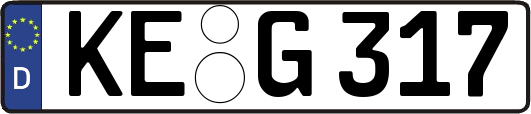 KE-G317