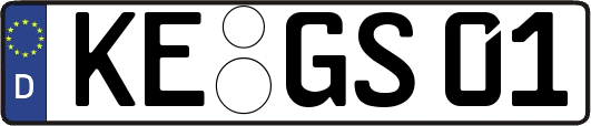 KE-GS01
