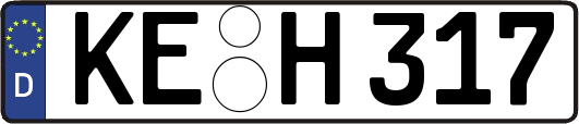 KE-H317