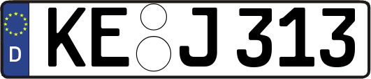 KE-J313