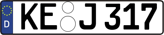 KE-J317