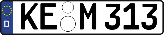 KE-M313