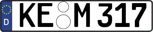 KE-M317