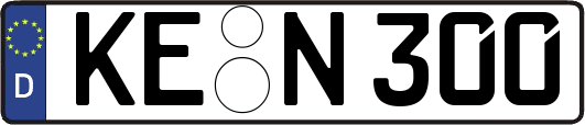 KE-N300