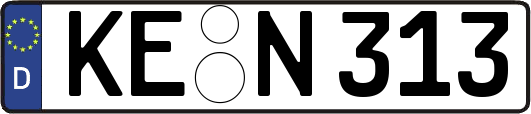 KE-N313