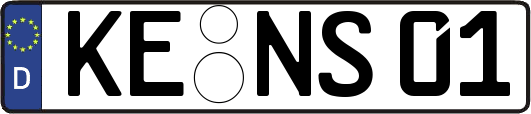 KE-NS01