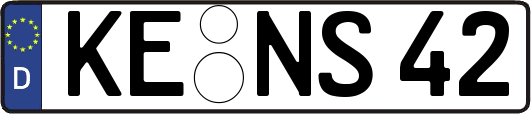 KE-NS42