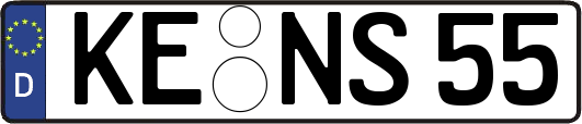 KE-NS55