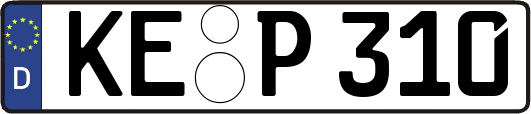 KE-P310