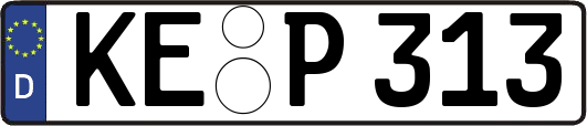 KE-P313