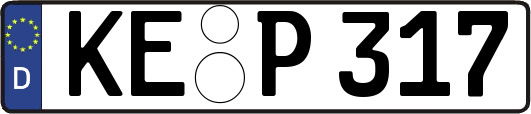 KE-P317
