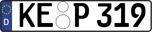 KE-P319