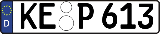 KE-P613