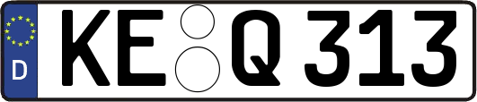 KE-Q313