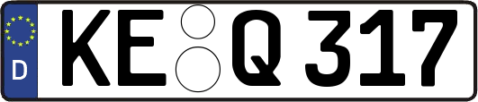 KE-Q317