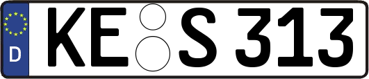 KE-S313