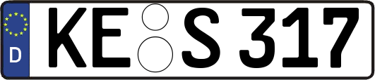 KE-S317