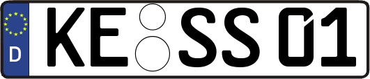 KE-SS01