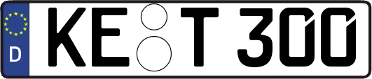 KE-T300