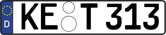 KE-T313
