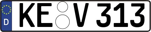 KE-V313