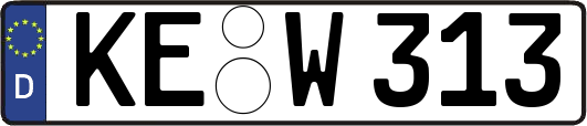 KE-W313