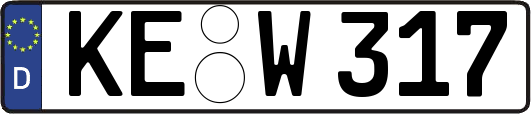 KE-W317